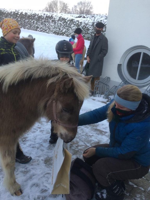 Grossansicht in neuem Fenster: Pony 2