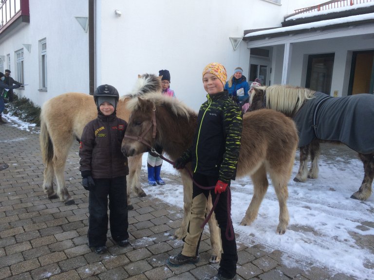 Grossansicht in neuem Fenster: Pony 5