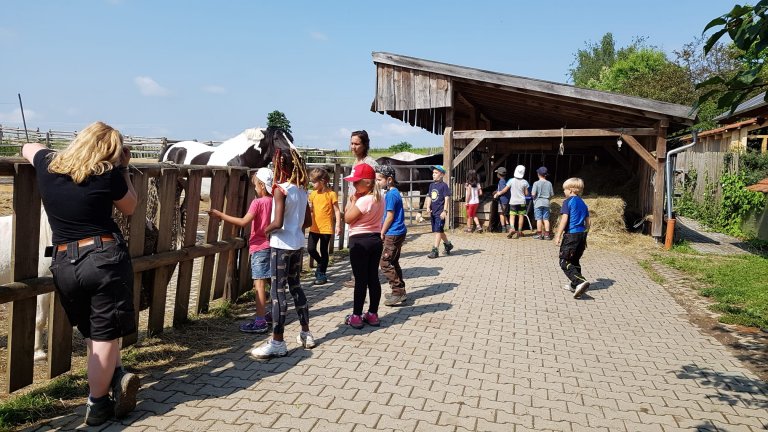 Grossansicht in neuem Fenster: Tiere